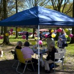 2012 Sakura Festival